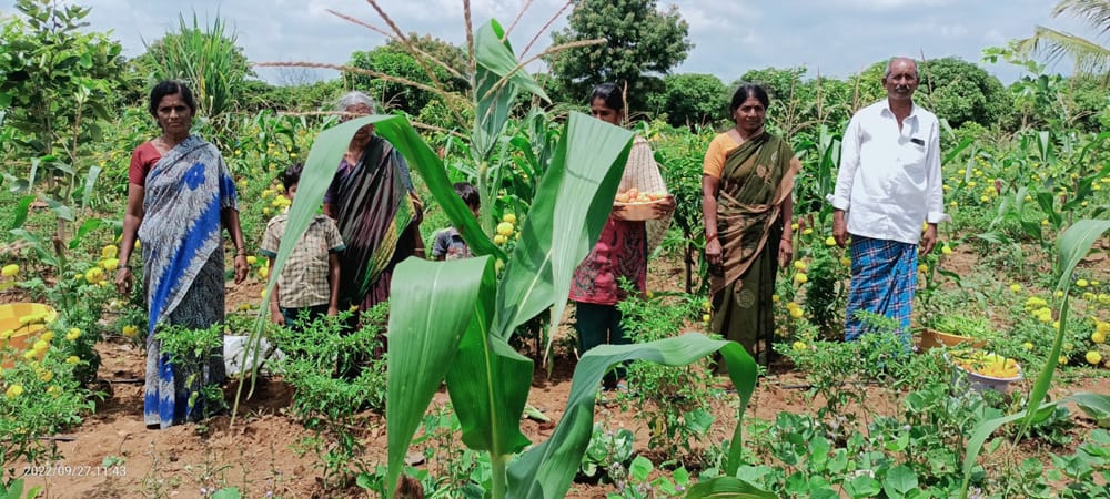 Silica Welfare Foundation